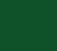 Load image into Gallery viewer, Standard Trapeze bar W/Rings - Green, One Size