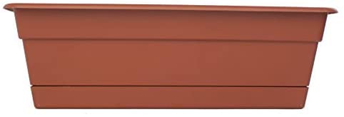 Dura Cotta Rectangular Window Box Color: Terra Cotta, Size: 5.75