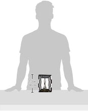 Load image into Gallery viewer, BePuzzled Hanayama Metal Cast King Chesspiece Puzzle Find Lucky Coins, Advanced Challenging Brain Teaser Game for Kids Age 8 &amp; Above (Level 2)