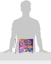 Load image into Gallery viewer, Scoop Away Multi-Cat, Scented Litter - 14 lb
