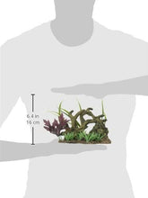 Load image into Gallery viewer, Marina Driftwood Twisted with Rock Betta Aquarium Decor, Medium