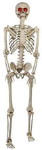 Load image into Gallery viewer, Home Accents Holiday Cyber Distributors Halloween 5 Foot Hanging Skeleton Outdoor or Indoor Decoration