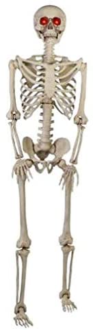 Home Accents Holiday Cyber Distributors Halloween 5 Foot Hanging Skeleton Outdoor or Indoor Decoration