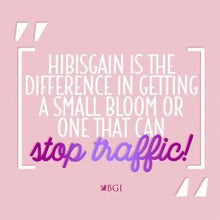 Load image into Gallery viewer, HIBISGAIN 2lb Bag, Hibiscus Fertilizer