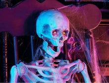 Load image into Gallery viewer, Home Accents Holiday Cyber Distributors Halloween 5 Foot Hanging Skeleton Outdoor or Indoor Decoration