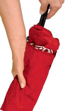 Load image into Gallery viewer, Radio Flyer Wagon Canopy