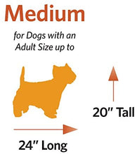 Load image into Gallery viewer, MidWest Homes for Pets Dog Crate | iCrate Single Door &amp; Double Door Folding Metal Dog Crates | Fully Equipped