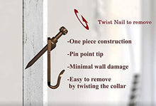 Load image into Gallery viewer, HangZ 30010 Gallery Picture Hook, Antique Brass, 100lb