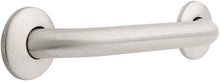 Load image into Gallery viewer, Safety First Concealed Mounting Grab Bar