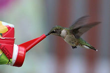 Load image into Gallery viewer, The Only Disposable/Recyclable, Ready-to-Use, Hummingbird Feeder-Prefllled w/Preservative and Dye Free"Exactly Like Flower" Nectar. Never Clean Another Feeder. Patented. (4 Pack) 44 FL OZ TOTAL