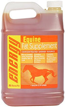Load image into Gallery viewer, Manna Pro Equine Fat Supplement, 1-Gallon
