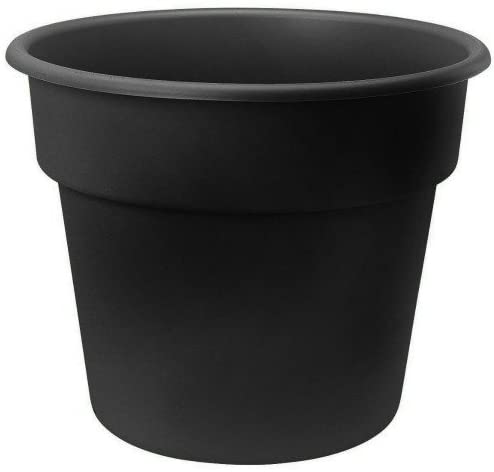 Bloem 10-inch Dura Cotta Planter Black DC10-00
