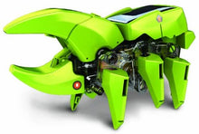 Load image into Gallery viewer, Elenco Teach