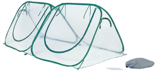 Flower House FHSH200CL StarterHouse, Clear