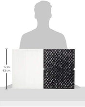 Load image into Gallery viewer, Genuine Winix 116130 Replacement Filter H for 5500-2 Air Purifier