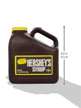 Load image into Gallery viewer, HERSHEY&#39;S Chocolate Syrup