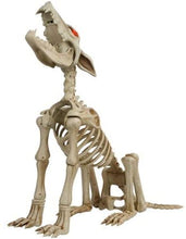 Load image into Gallery viewer, Spooky Hollow 31 Inch Life Size Animated Halloween Howling Wolf Crazy Bones with Sound - Eyes Light Up Red