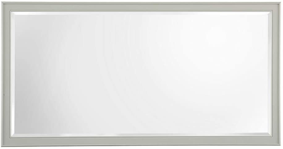 Home Decorators Collection Gazette 60 in. W x 31 in. H Single Framed Wall Mirror in Grey