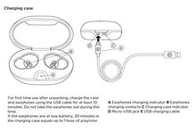 Load image into Gallery viewer, Bang &amp; Olufsen Beoplay E8 Premium Truly Wireless Bluetooth Earphones
