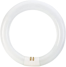 Load image into Gallery viewer, Philips 392225 Circline Fluorescent 22-Watt 8-Inch T9 Bright White, 1 Pack