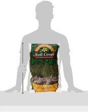 Load image into Gallery viewer, Mosser 0470 Natural Green Sheet Moss, 675-Square Inch