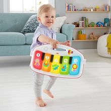 Load image into Gallery viewer, Fisher-Price Deluxe Kick &amp; Play Piano Gym