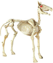 Load image into Gallery viewer, Home Accents Holiday 74 in. Halloween Standing Skeleton Horse-6342-86676