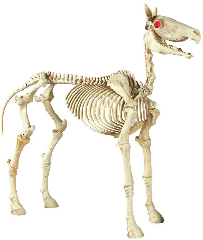 Home Accents Holiday 74 in. Halloween Standing Skeleton Horse-6342-86676