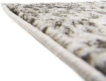 Load image into Gallery viewer, Traditional Vintage Area Rug