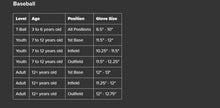 Load image into Gallery viewer, Rawlings R9 Youth Baseball Glove Series