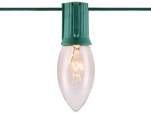 Load image into Gallery viewer, Home Accents Holiday 25 Light Incandescent C9 Lights (Set of 2)