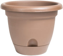 Load image into Gallery viewer, Bloem Lp1245 Lucca Planter, 12&quot;, Chocolate
