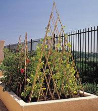 Load image into Gallery viewer, Natural Bamboo Poles Teepee, 60" H, Natural Finished, BT-60