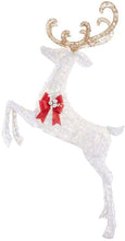 Load image into Gallery viewer, Home Accents Holiday 84 in. Warm White 240-Light LED White Jumping Deer