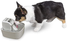 Load image into Gallery viewer, PremierPet PET FOUNTAIN 50 OZ. with WATER FILTER for CATS &amp; SMALL DOGS BPA-FREE