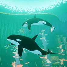 Load image into Gallery viewer, ABZÛ0