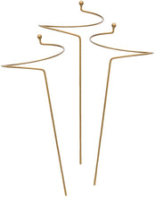 Load image into Gallery viewer, BRECK&#39;S Deluxe Amaryllis Plant Support Stakes - Set of 3 - Ensure That Your Indoor Amaryllis Plants Remain Upright and Beautiful All Season Long.
