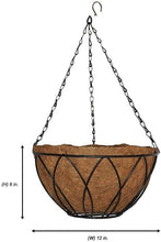 Load image into Gallery viewer, Pride Garden Products 12 in. Devon Hanging Basket