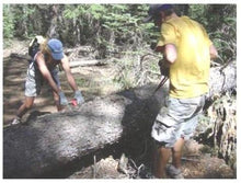 Load image into Gallery viewer, Chainmate 48-Inch Survival Pocket Chain Saw With Pouch