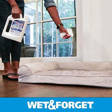 Load image into Gallery viewer, Wet &amp; Forget Indoor Mold and Mildew All Purpose Cleaner- Deodorizes, Disinfects, Kills 99.9% of Bacteria and Viruses, 64 OZ. Ready to Use