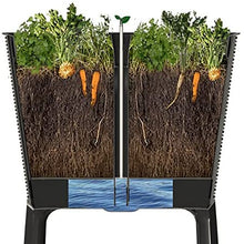 Load image into Gallery viewer, Keter Easy Grow 31.7 Gallon Raised Garden Bed with Self Watering Planter Box and Drainage Plug