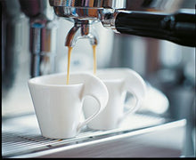 Load image into Gallery viewer, Villeroy &amp; Boch New Wave Caffe Mug