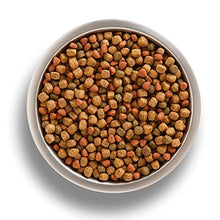 Load image into Gallery viewer, Rachael Ray Nutrish Natural Dry Dog Food, Real Beef &amp; Brown Rice Recipe, 6 Lbs