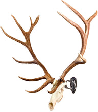 Load image into Gallery viewer, Skull Hooker Big Hooker European Trophy Mount – Perfect Kit for Hanging and Mounting Taxidermy Elk, Moose, &amp; Caribou Antlers Skulls for Display – Graphite Black