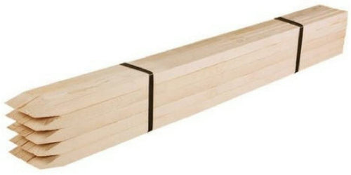 Greenes Fence Wooden Garden Stakes (25-pack) (4'L)