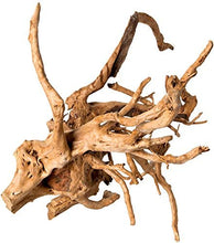 Load image into Gallery viewer, Galapagos Spider Wood