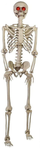 5 ft. Poseable Skeleton with LED Illumination