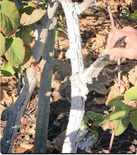 Load image into Gallery viewer, IV Organic 3-in-1 Plant Guard, 1 Pint (White)