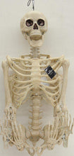 Load image into Gallery viewer, Way to Celebrate! 5 ft Posable Skeleton Halloween Decoration Prop