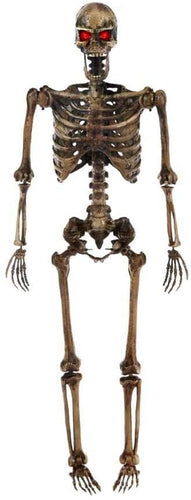 Home Accents Holiday 5 ft. LED Pose-N-Stay Decayed Skeleton